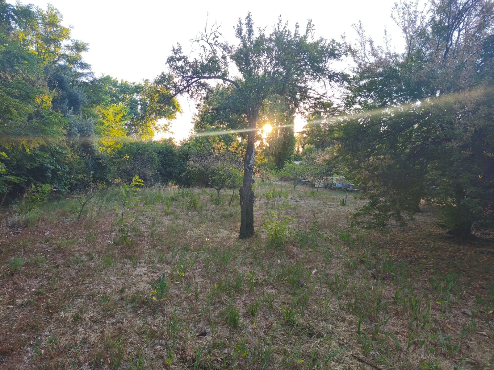 Vista natural principal de Quinta Santa Luisa